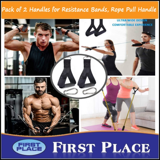 Heavy Duty Exercise Handle Pair with Carabiners