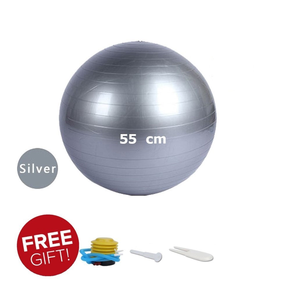 55 cm Anti-burst Gym ball/Yoga ball with pump