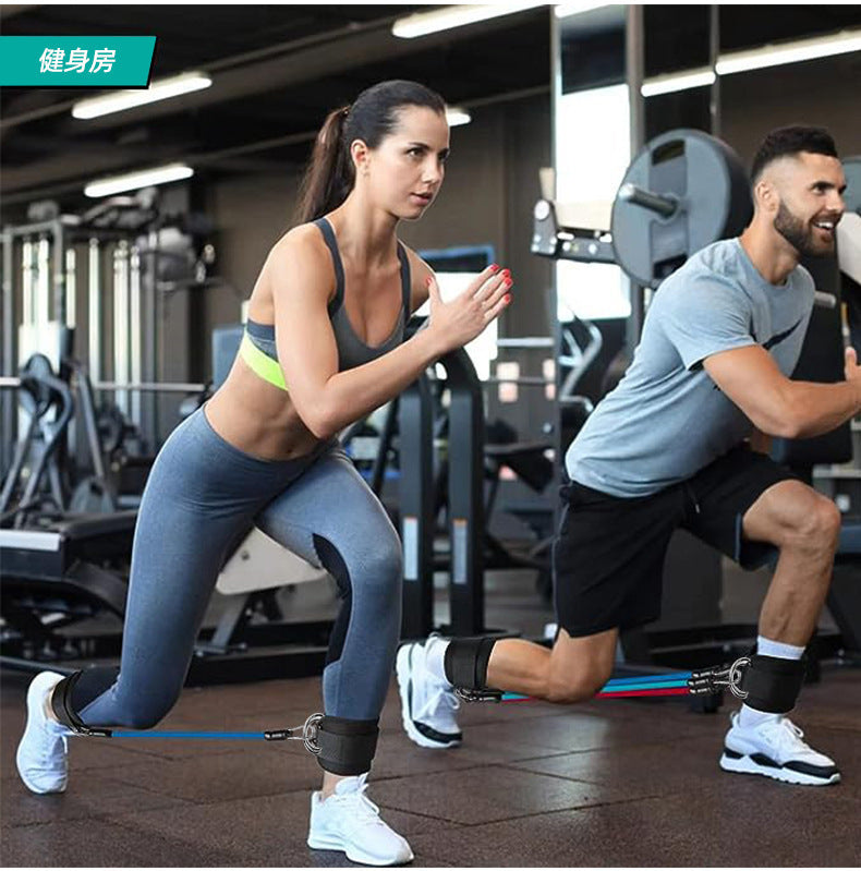 2pcs Adjustable Ankle Strap with Double D-Rings and 3 Resistance Bands Set/Ankle Straps  for Kickbacks, Glute Workouts, Leg Extensions, Curls, and Hip Abductor