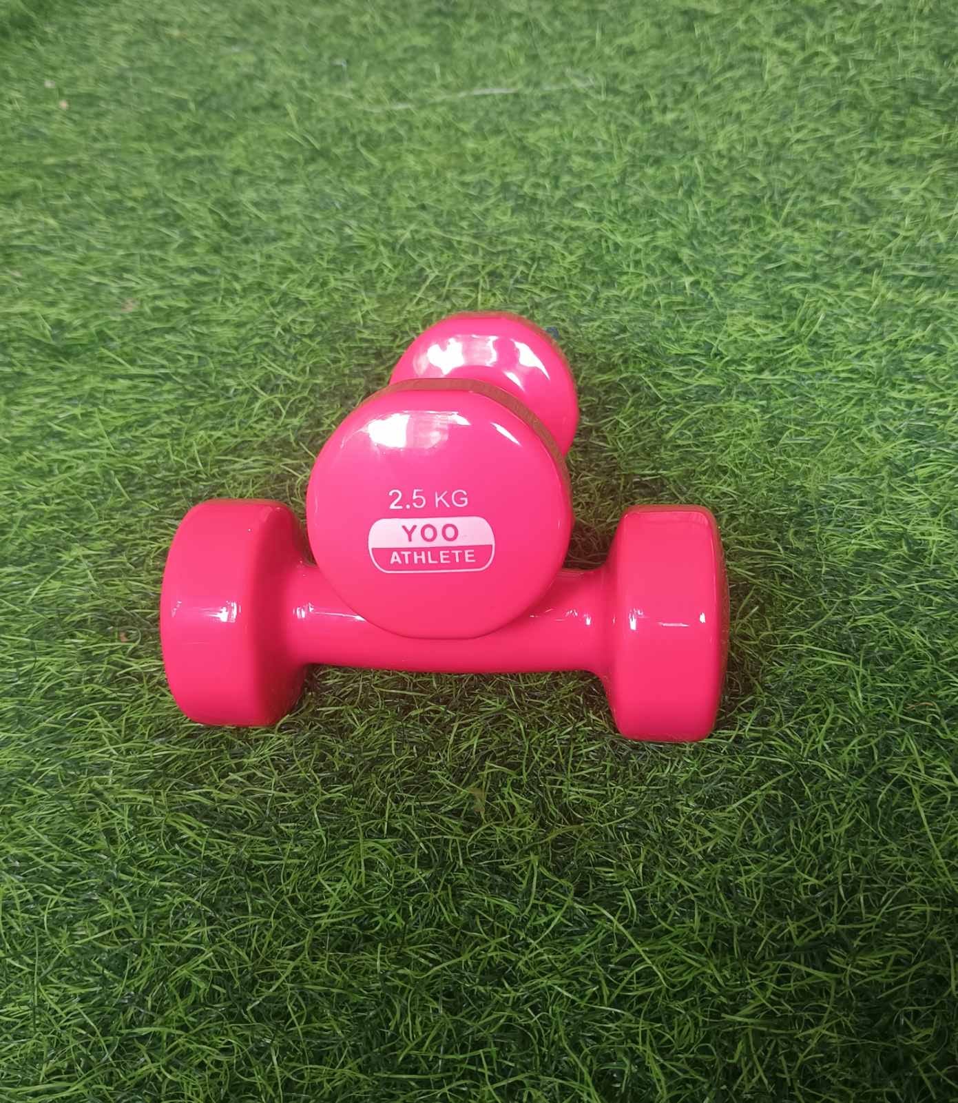 Vinyl Hex Dumbbells (Pair)