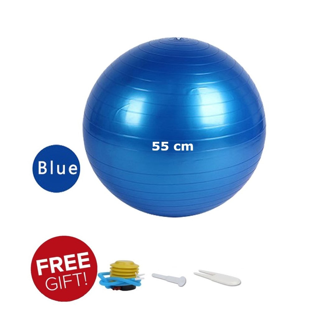 55 cm Anti-burst Gym ball/Yoga ball with pump