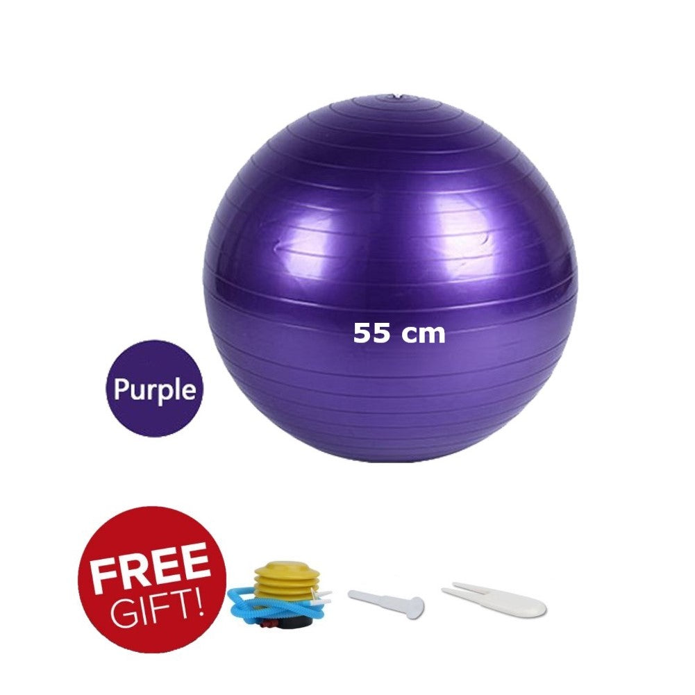 55 cm Anti-burst Gym ball/Yoga ball with pump
