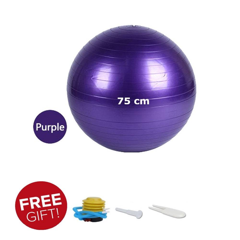 75 cm Anti-burst Gym ball/Yoga ball with pump