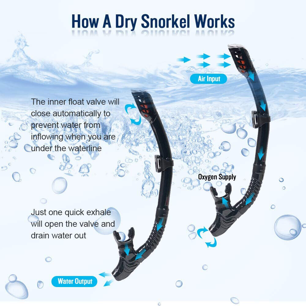 Adult Snorkeling Mask with Tempered Glass