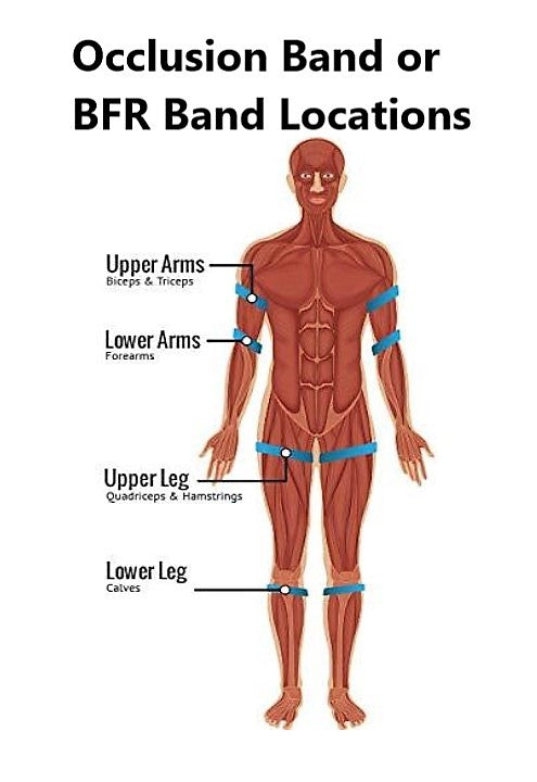 BFR Band (For Arm)