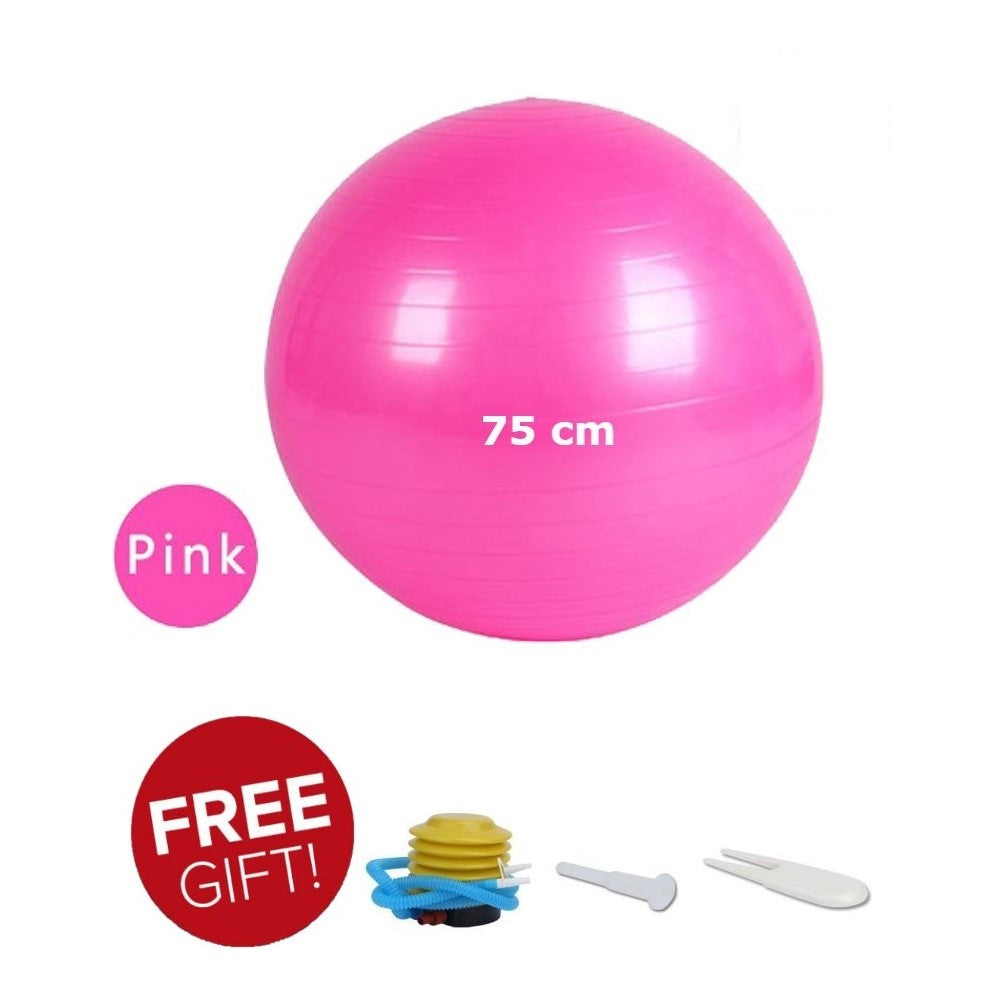 75 cm Anti-burst Gym ball/Yoga ball with pump