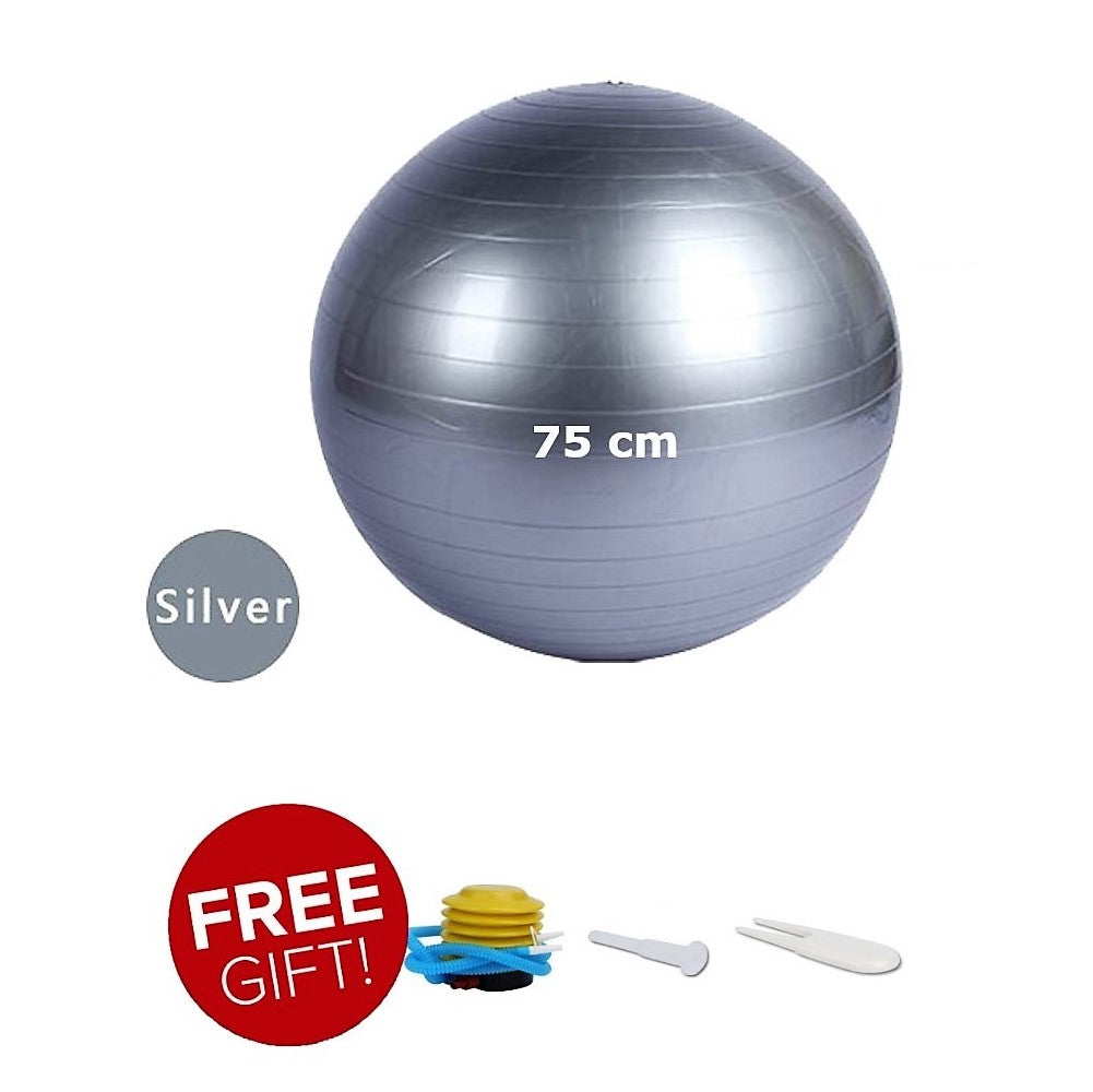 75 cm Anti-burst Gym ball/Yoga ball with pump