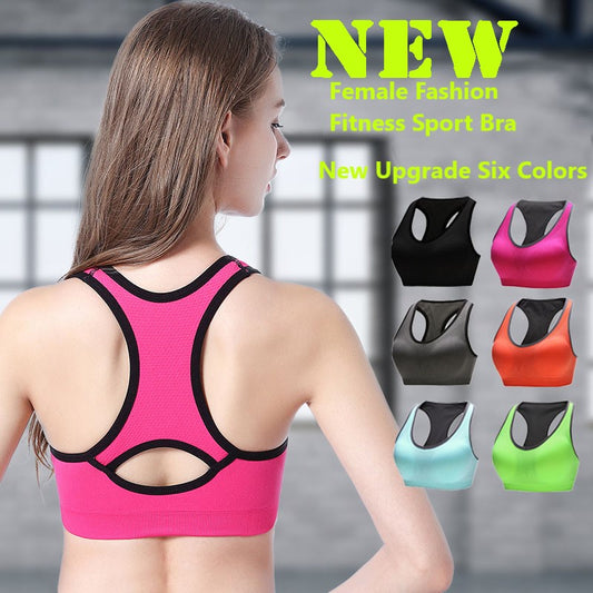 Women Sports Bra / Fitness Yoga Bra