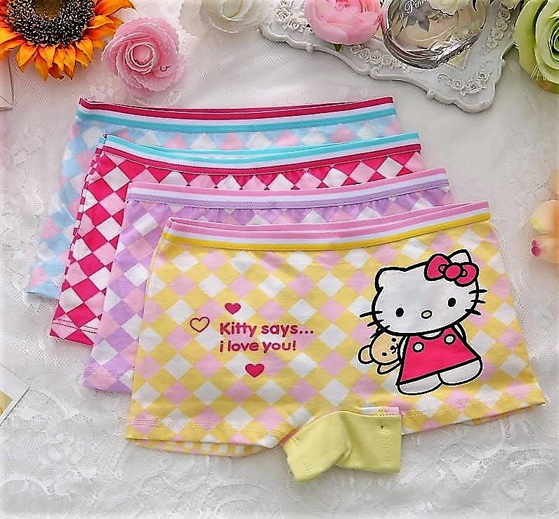 1 pc Hello Kitty Pantie/Underwear for Girl (2)