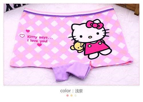 1 pc Hello Kitty Pantie/Underwear for Girl (2)