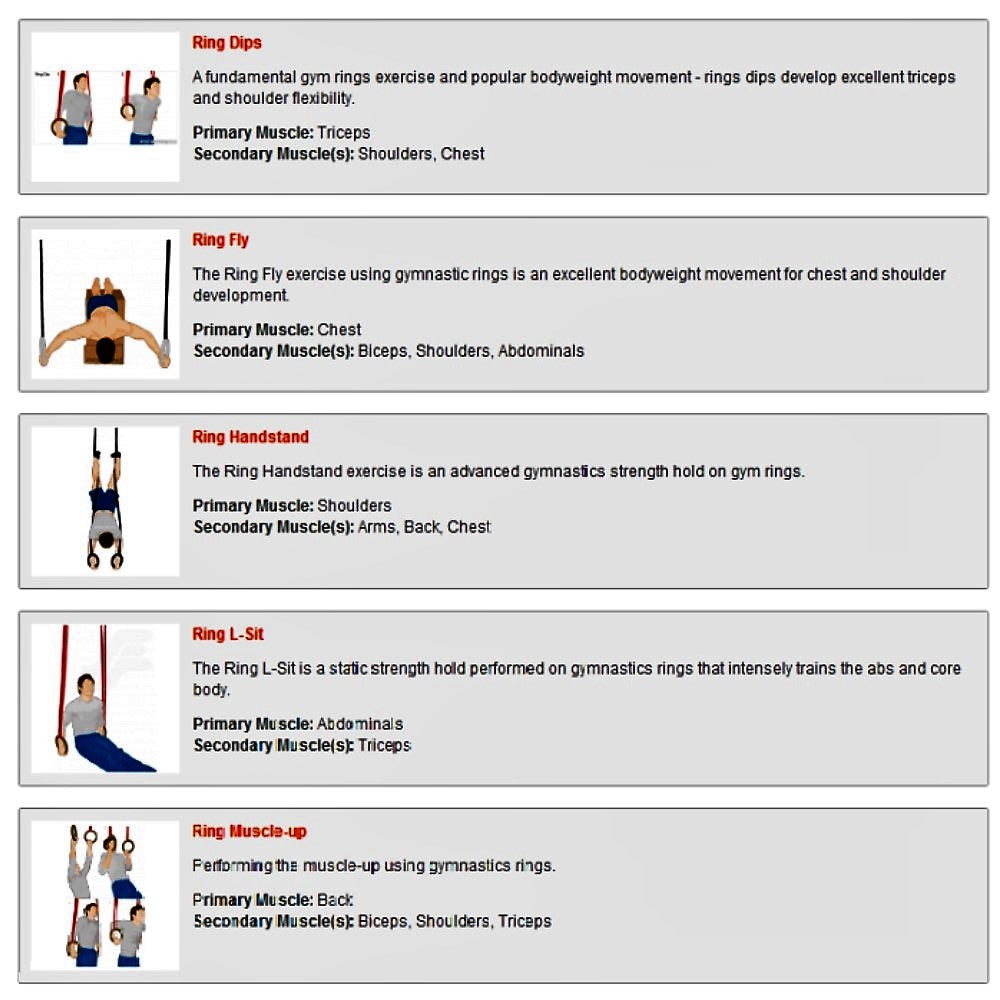 Wooden Gymnastic Rings with Adjustable Number Straps