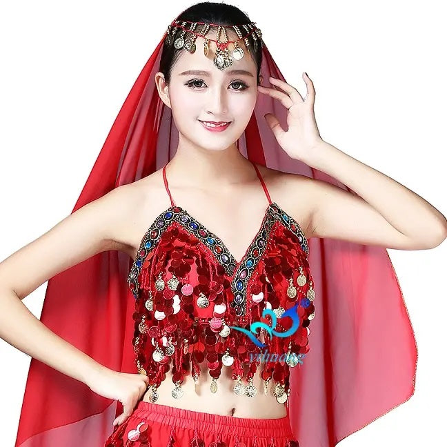 Sequin Chiffon Belly Dance Bra Performance Wear Belly dance Costumes Festival Tops