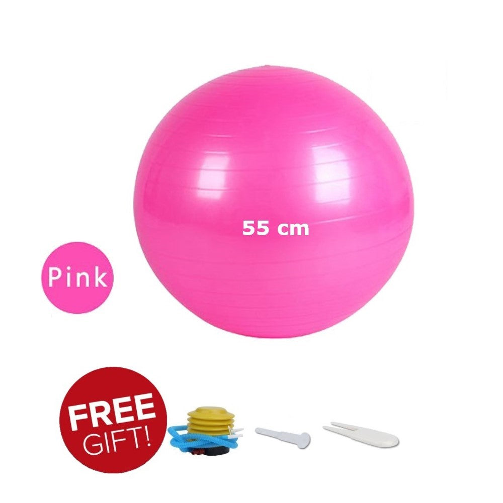 55 cm Anti-burst Gym ball/Yoga ball with pump
