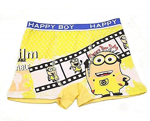 1 pc Minion Pantie/Underwear for Boy