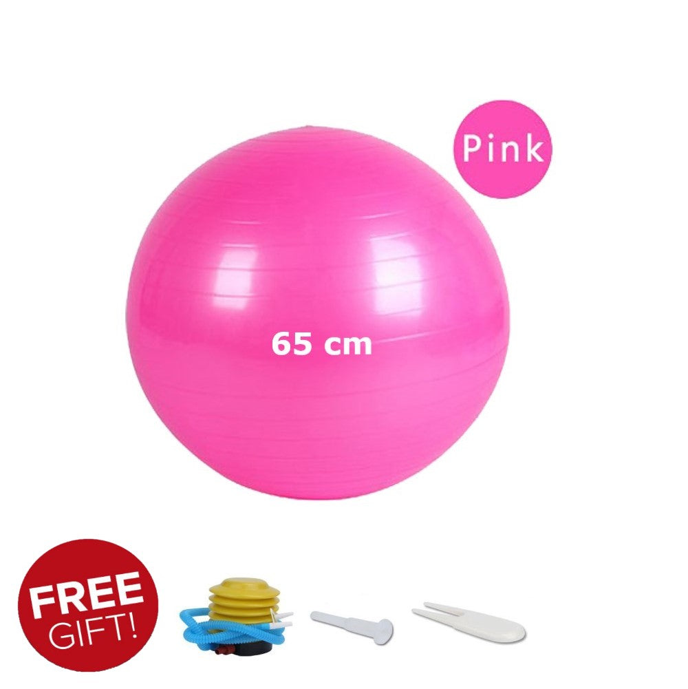 65 cm Anti-burst Gym ball/Yoga ball with pump