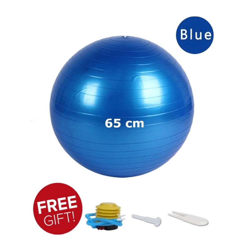 65 cm Anti-burst Gym ball/Yoga ball with pump
