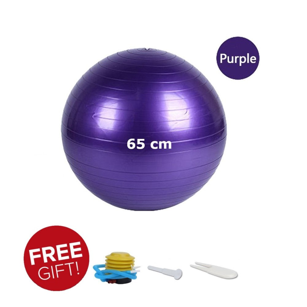 65 cm Anti-burst Gym ball/Yoga ball with pump