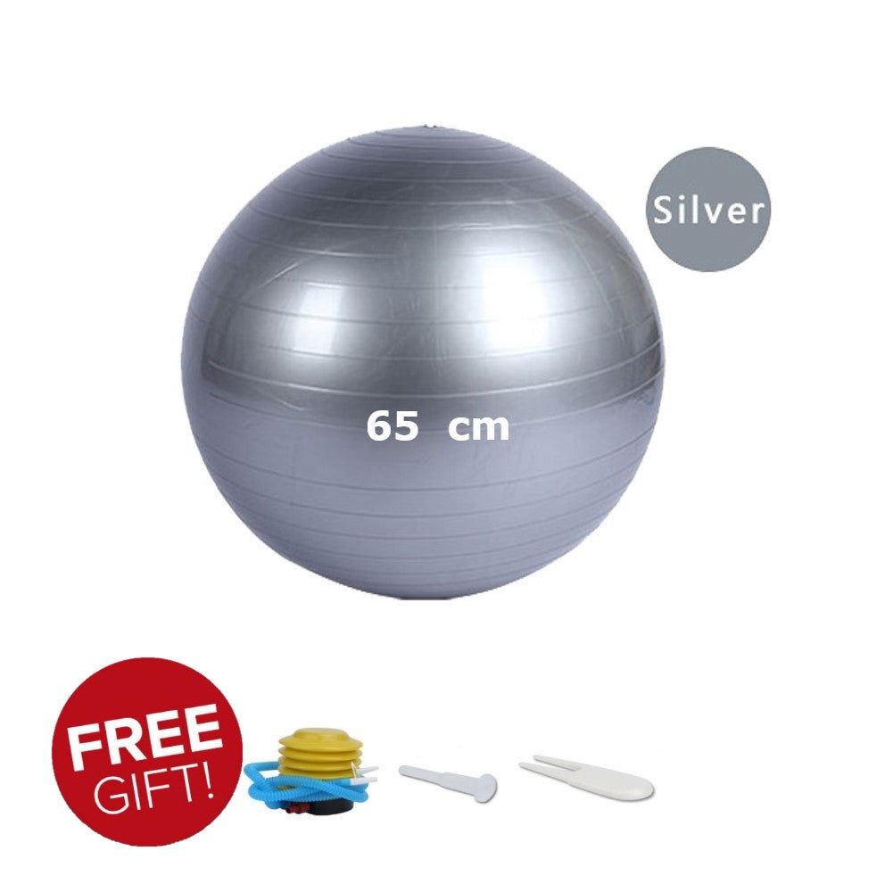 65 cm Anti-burst Gym ball/Yoga ball with pump