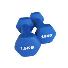 1Kg,1.5Kg,2Kg,2.5Kg,3Kg Neoprene coated Dumbbells Set